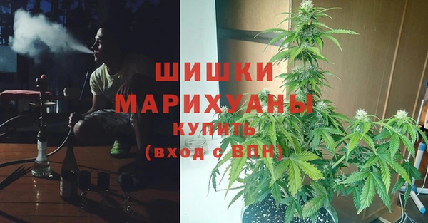 ГАЛЛЮЦИНОГЕННЫЕ ГРИБЫ Няндома