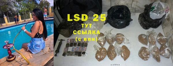 ГАЛЛЮЦИНОГЕННЫЕ ГРИБЫ Няндома